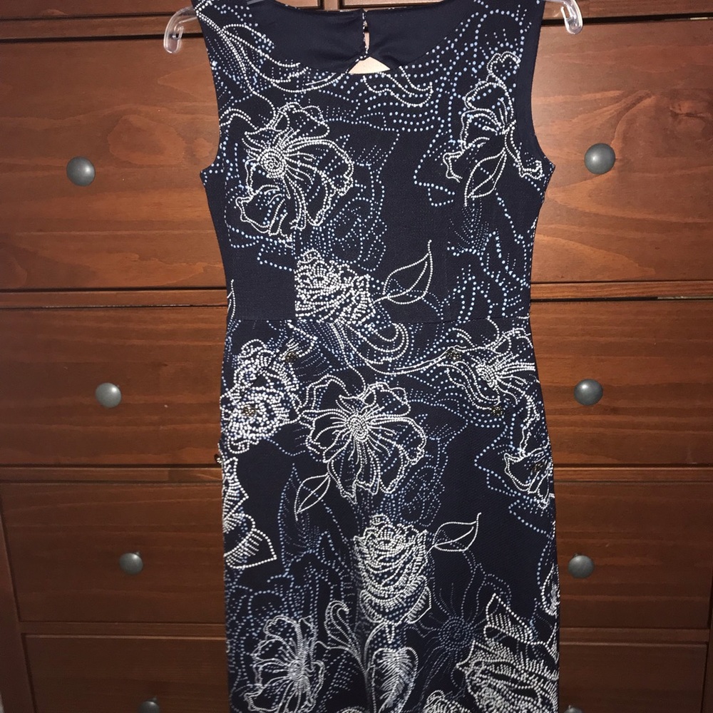 Enfocus Studios Blue Floral Dress